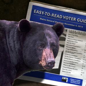 The upcoming referendum on bear baiting, which somewhat confusingly pits wildlife advocates against wildlife biologists, and sport hunters against other sport hunters, is as good a reason as any to pick up a copy of the League of Women Voters’ Election Guide. Among other things, the free publication translates crummy ballot language into plain English and summarizes the pro and con arguments for the citizen initiatives and bond questions voters will see on Nov. 4. (Graphic by Ethan Andrews; bear photo: USFWS Steve Hillebrand)
