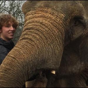 hope elephants (1499)