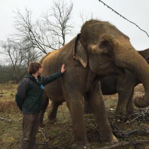 hope elephants (1499)