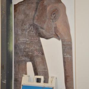 hope elephants (1499)