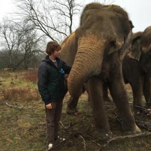 hope elephants (1499)