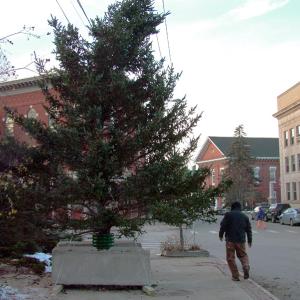 Workers installed a cut pine in Post Office Square Monday to serve as a temporary centerpiece for downtown holiday events. The large evergreen in front of City Hall, traditionally decorated with lights and topped with a star, background right, was damaged in the Nov. 2 snowstorm. (Photo by Ethan Andrews)