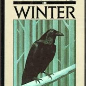 ravens