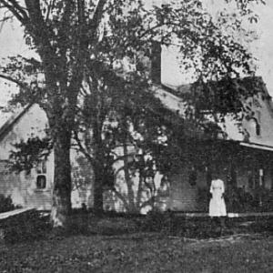 willow farm
