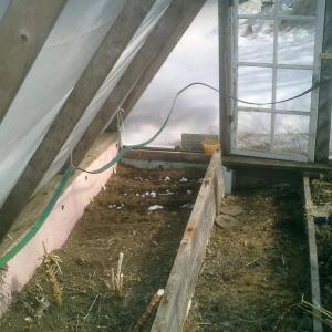 greenhouse