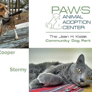 Cooper, a beagle, and Stormy are both available for adoption at P.A.W.S. Animal Adoption Center in Rockport.