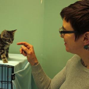 P.A.W.S. Animal Adoption Center Executive Director Amie Hutchison and one of the kittens the shelter has that is just about ready to be available for adoption. (Photo by Holly S. Edwards)