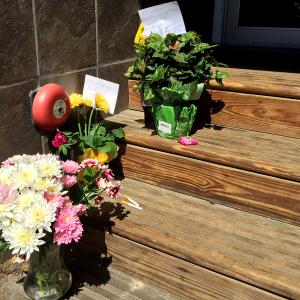 David Conary could often be found recently sitting in this vestibule, next to French and Brawn Market Place on Elm Street. He will never sit there again, and this week flowers have been left in his place. Conary was 55 when he was found deceased June 15 in a stand of trees between the Knox Mill and Rite Aid parking lots. (Photo by Holly S. Edwards)