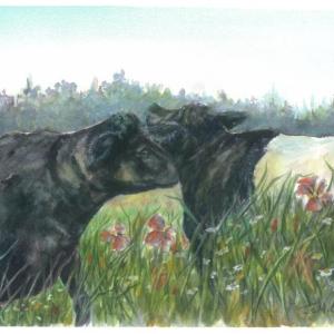 This year’s event poster will feature “Friendship – The Nudge,” an original watercolor by Jo M. Orise who is participating in the Art Show & Sale for a fourth year. (Photo courtesy Maine Coast Heritage Trust)