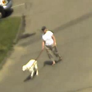 Rockport Police are seeking the identity of this woman, who was seen with her dog at Marine Park on the waterfront around noon Wednesday, July 29. (Courtesy Rockport Police Department)