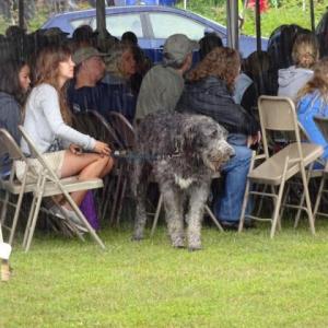 There were plenty of tents for people to sit and stand under when the skies opened up during the Maine Celtic Celebration Saturday, but breaks in the weather also provided opportunities to open the lawn chairs and spread out the blankets to listen to the music and watch the performances down on the Belfast waterfront. The Maine Celtic Celebration continues Sunday with the Highland Heavy Games and New World Cheese Roll Championships highlighting the days events. There will also be plenty of music and dance performances, workshops and other things to do, and the weather should be nice, so plan to head down for the day. (photo by Erica Thoms)
