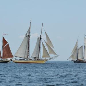 Penobscot Bay windjammers thread back and forth before the Rockland Breakwater Friday afternoon, July 10, where a crowd of admirers gather for the annual Maine Windjammer Parade. (Photo by Lynda Clancy)