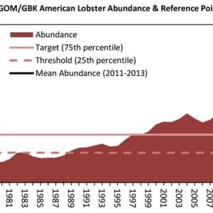 The lobster stock in the Gulf of Maine and Georges Bank has increased.