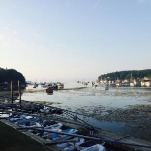 Rockport Harbor, Aug. 18, 2015. Loaded with rockweed. (Photo by Lynda Clancy)
