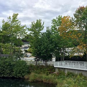 The first signs of the coming fall are appearing in the Midcoast, and cool nights will speed the transformation over the coming weeks. (Photo by Holly S. Edwards)