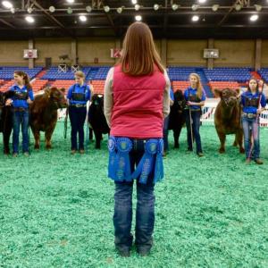 Aldermere Achievers, left to right, Greta Bishop, Audrey Bowman, Ellie Pendleton, Elizabeth Eaton, Frances Pendleton, Pearl Benjamin, Quinn Bunting, and Sydney Gilbert stand in the show ring of the North American Int’l Livestock Expo in KY. Melinda Lee, Aldermere Farm's apprentice (wearing a skirt of first place ribbons)(Photo Credit: Karin Leuthy)