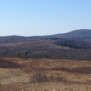 Looking west from Beech toward the Kangas Farm, and beyond.