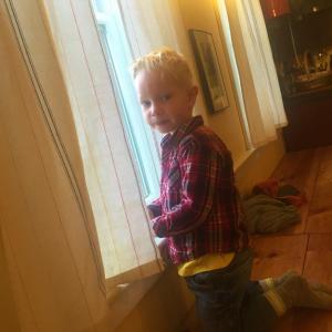Turner Albee, 4, finds some light at a Morris Farm window as his parents, ReVision Energy employees Hans and Jennifer Albee, talk about solar power April 2. SUSAN JOHNS/Wiscasset Newspaper