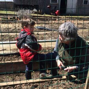 Planting that first row of peas on a chilly April morning. (Photo by Ed O’Brien) planting peas