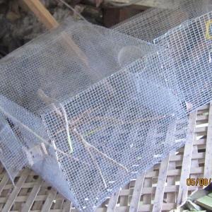 cages