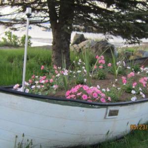 robie boat