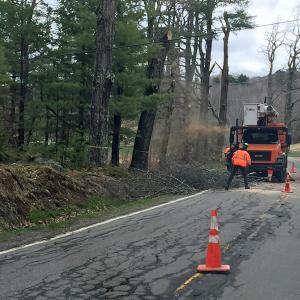 A Maine Department of Transportation tree crew works along Route 105 in Camden, near Carle Farm Road, Tuesday morning. (Photo by Holly S. Edwards)