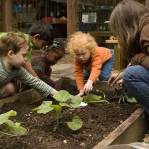 SPROUTS gardening.