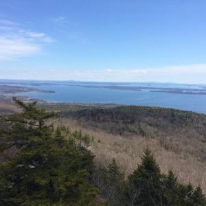 bald rock view