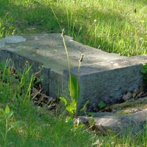 A headstone lies flat against the earth at Rockland’s Tolman Cemetery. (Photo by Sarah Thompson)