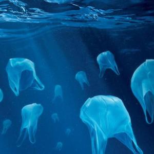 Rise Above Plastics campaign strives to change consumer behavior to elminate more plastic going into the ocean, which is already choked with billions of pounds of swirling convergences of the stuff that is deadly to marine life and harmful to oceans in general. (Photo courtesy Surfrider Foundation)