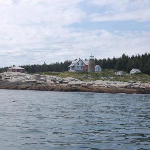 Want a free boat ride to the islands and a lobster lunch? All you have to do is volunteer for a few hours. (photo courtesy The Tenants Harbor Fisherman’s Co-op)