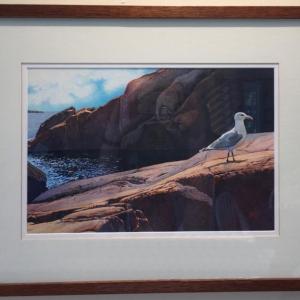 "Acadia" by Robert Steinmetz