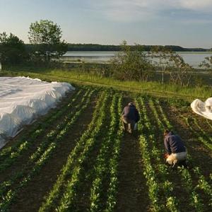 (Photo courtesy Maine Farmland Trust)