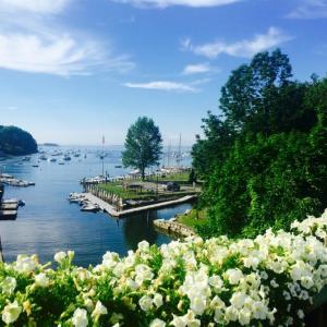 Rockport Harbor on July 1. (Photo by Lynda Clancy)