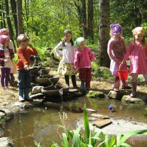frog pond