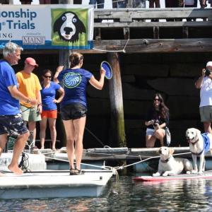 Travis and his brother, Charlie, on the paddleboard, along with owners Chris and Carolyn Groobey, from Annapolis, Md. (Photo courtesy Debra Bell, Bell’s Furry Friends)