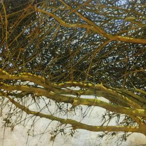 ‘Palo Verde No.1,’ oil on panel, 18 inches by 24 inches.