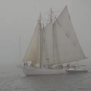 The schooner ‘Bowdoin.’