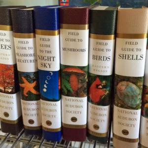 ‘Volunteers inspect, make decisions about and shelve donated books when they find some spare time. Borrowed books are expected back, but are lent without a stated due date.’ (Photos by Eva Murray)