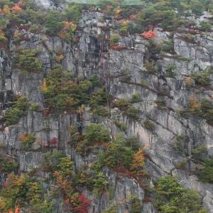 A team rescued a man off a cliff at Acadia National Park Oct. 8. (Photo courtesy U.S. Coast Guard)