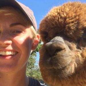 Grantham, a live adorable alpaca right in the studio! And Grantham will be bringing along his staff from the Norther Solstice Alpaca Farm, owner, Robin Fowler Pratt