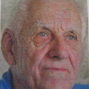 Raymond Ingles