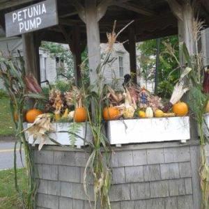 Petunia Pump is all decked out for fall. Thank you Jeanne and Bob!
Photo by Jeanne Hollingsworth petunia pump