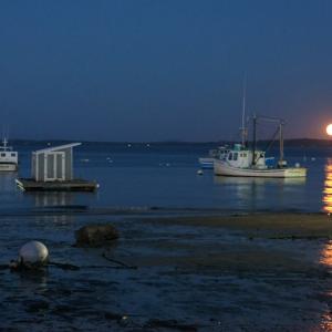 The Nov. 14 supermoon. (Photo by Aaron Crossman)
