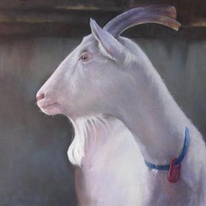 ‘White Goat’ by Nancy Lee Lovley.