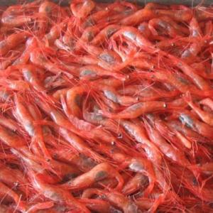 No shrimp in 2017.