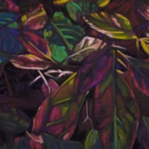 By Marjorie Strauss