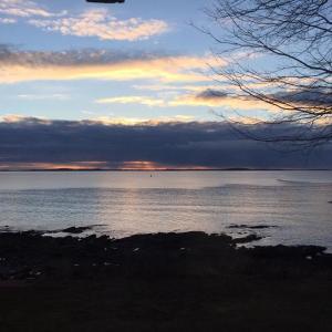 A friend, whose kitchen window looks out over the ocean, has been sending me the sunrise every morning. Here’s Monday, February 6, 2017.
Photo by Barb Yatsevitch sunrise