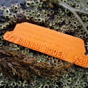 Photo courtesy Burren Shores - Beachcombing & more