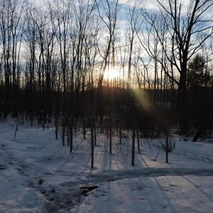 Late afternoon from Youngtown Road.
All photos by Arlene Leighton late afternoon